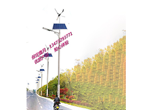 風光互補太陽能路燈FGD-31 風光互補太陽能路燈FGD-31